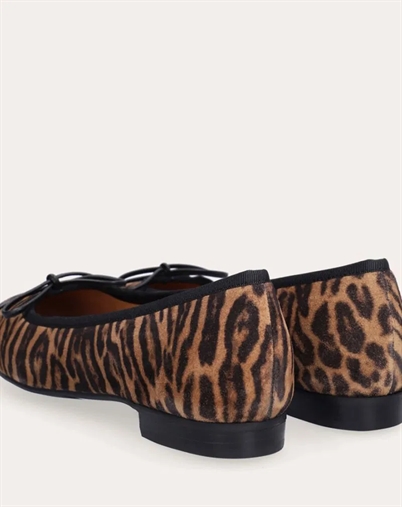 Leopardo Arabica Suede Ballerina - Billi Bi